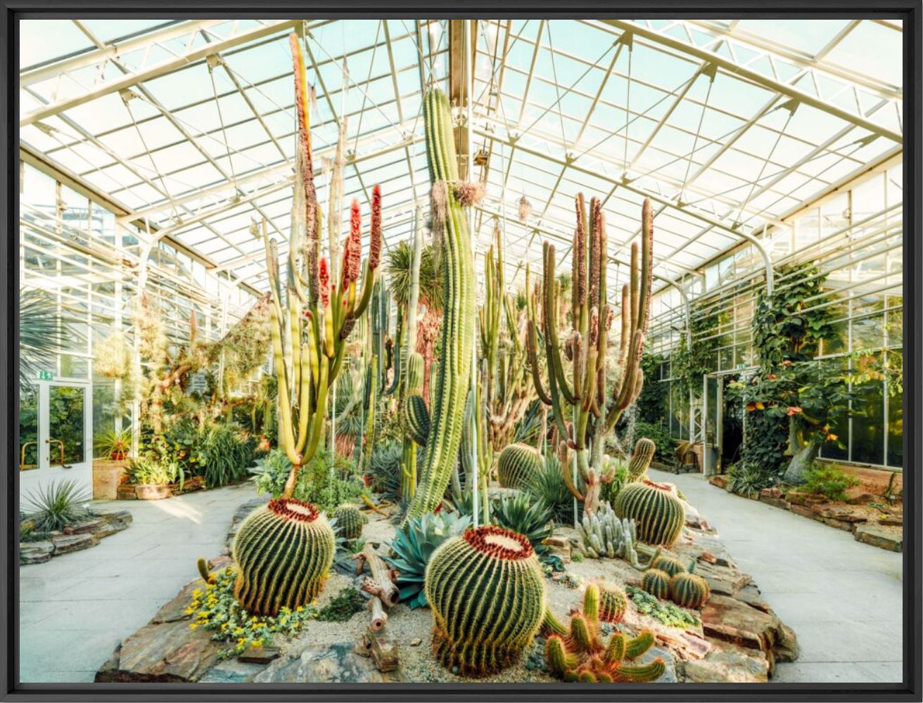 Botanical garden Munich 1 - J&ouml;rg Wanderer - Photographie