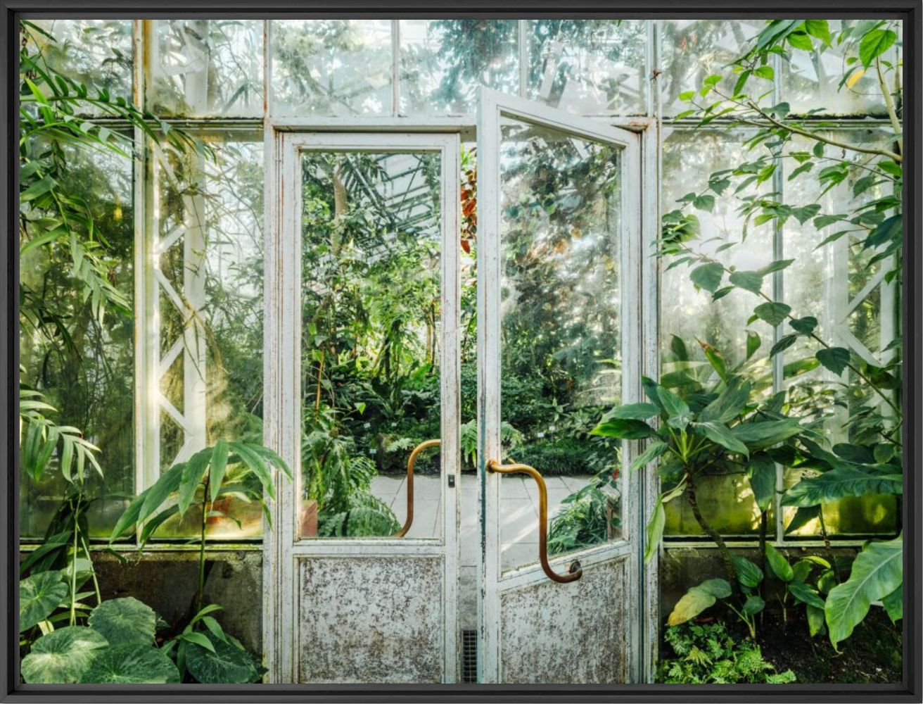 Botanical garden Munich 2 - J&ouml;rg Wanderer - Fotograf&iacute;a
