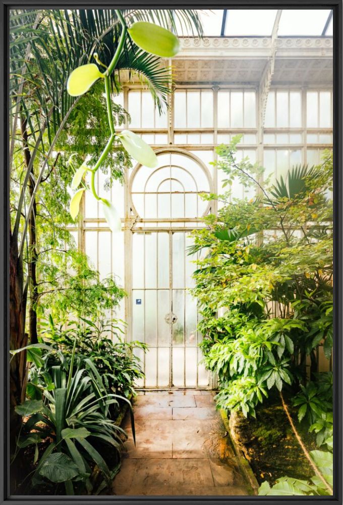 Botanical gardens 1 - J&ouml;rg Wanderer - Fotografie