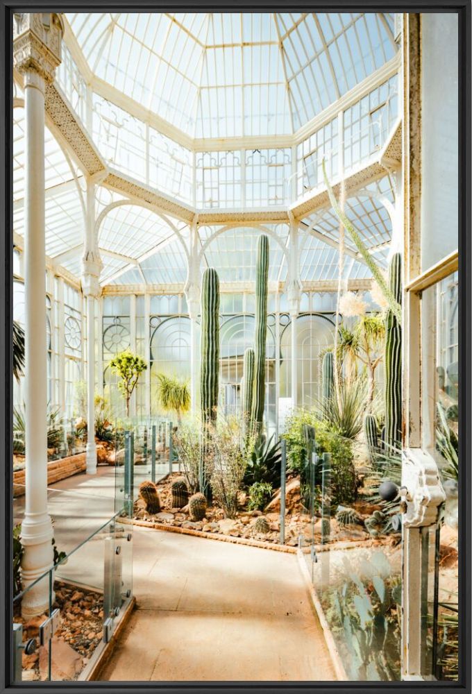 Botanical gardens 2 - J&ouml;rg Wanderer - Fotografia