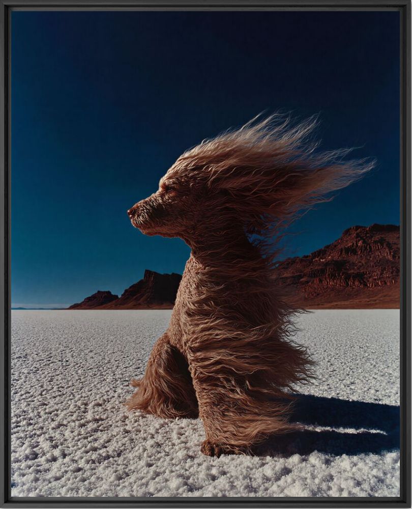 Viento del norte - Juan Carlos Beltran - Fotografia