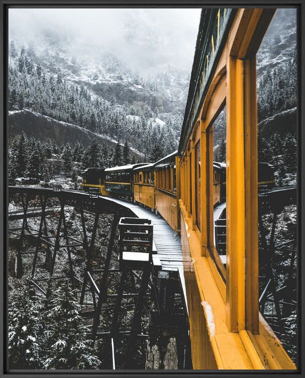 WINTER WONDERLAND - JUDE ALLEN - Photographie