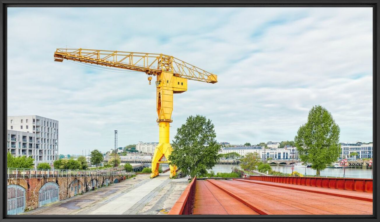LA GRUE TITAN JAUNE - JULES VALENTIN - Photographie