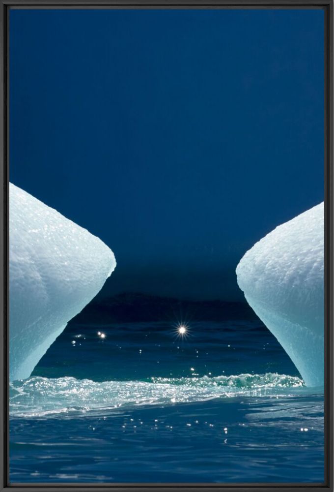 Nature study 11 - Julia Wimmerlin - Photographie