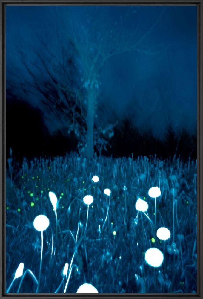 Nature study 9 - Julia Wimmerlin - Photographie