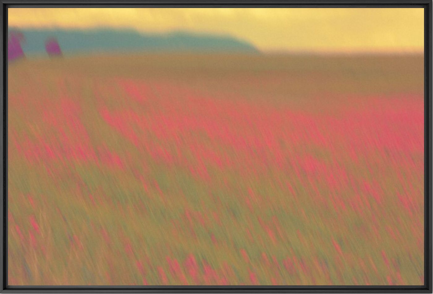 Pastoral 3 - Julia Wimmerlin - Photographie