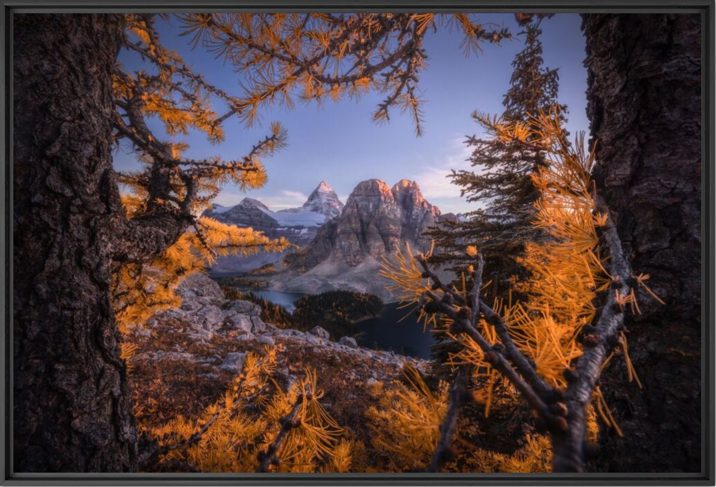 Autumn frame - Kelvin YUEN - Photographie