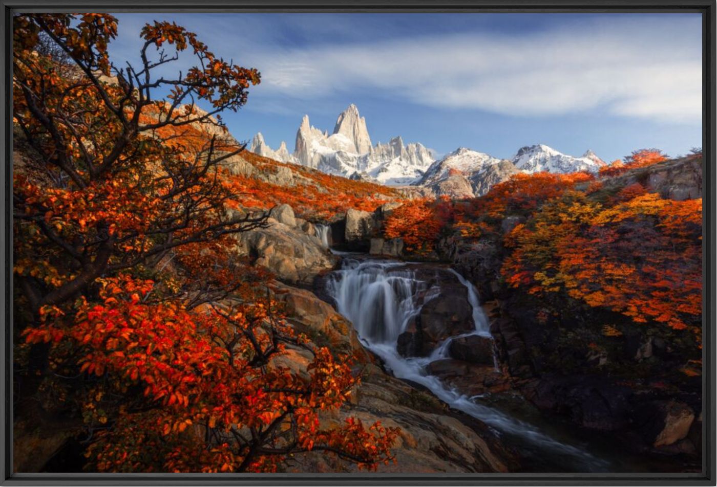 Autumn - Kelvin YUEN - Photographie