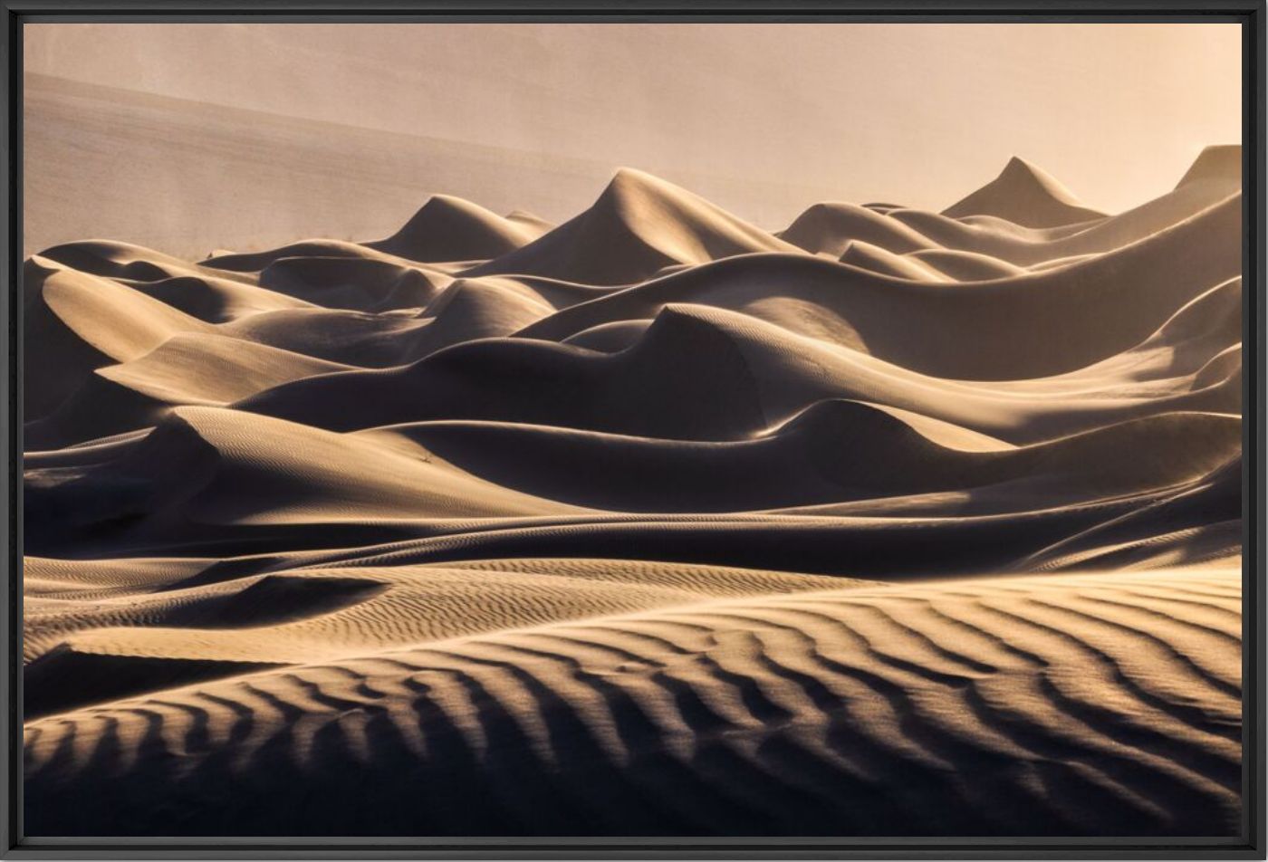 Golden dunes - Kelvin YUEN - Photographie