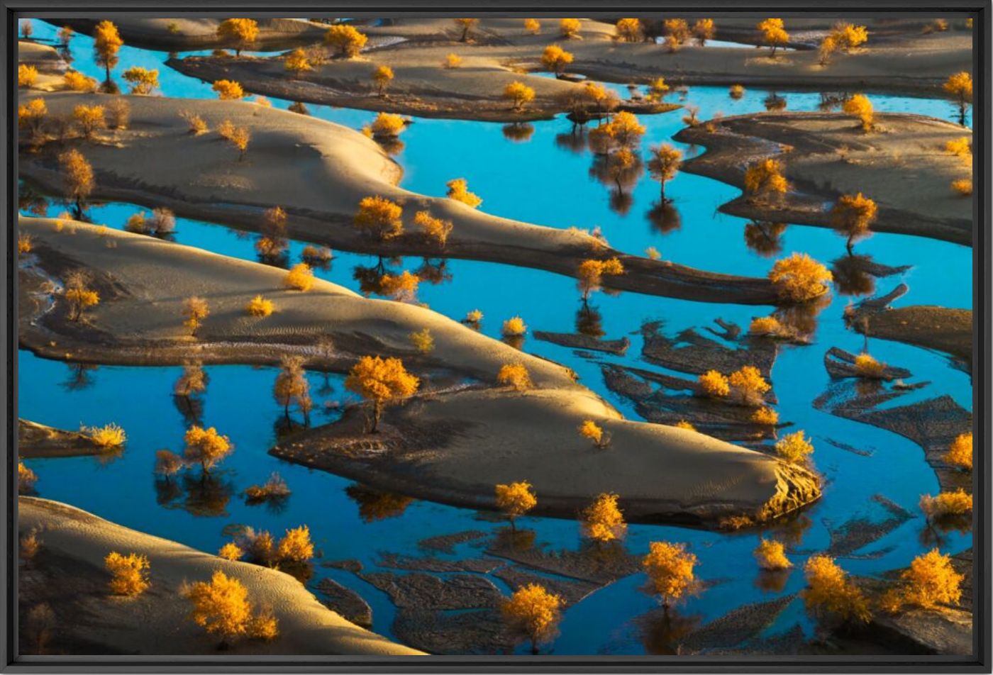 Golden oasis - Kelvin YUEN - Photographie