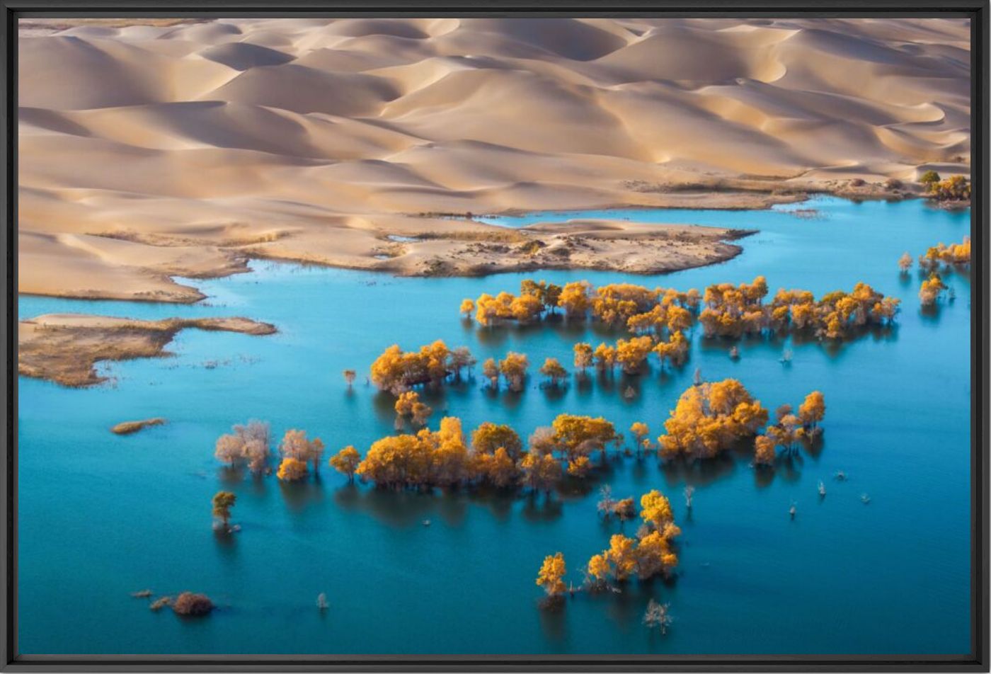 Nature symphony - Kelvin YUEN - Photographie