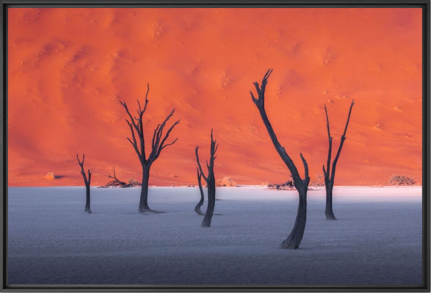 Oil painting - Kelvin YUEN - Photographie