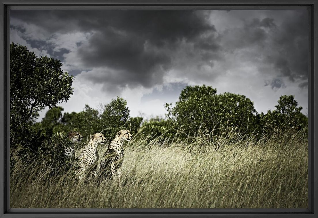 Awaiting - KLAUS TIEDGE - Photograph