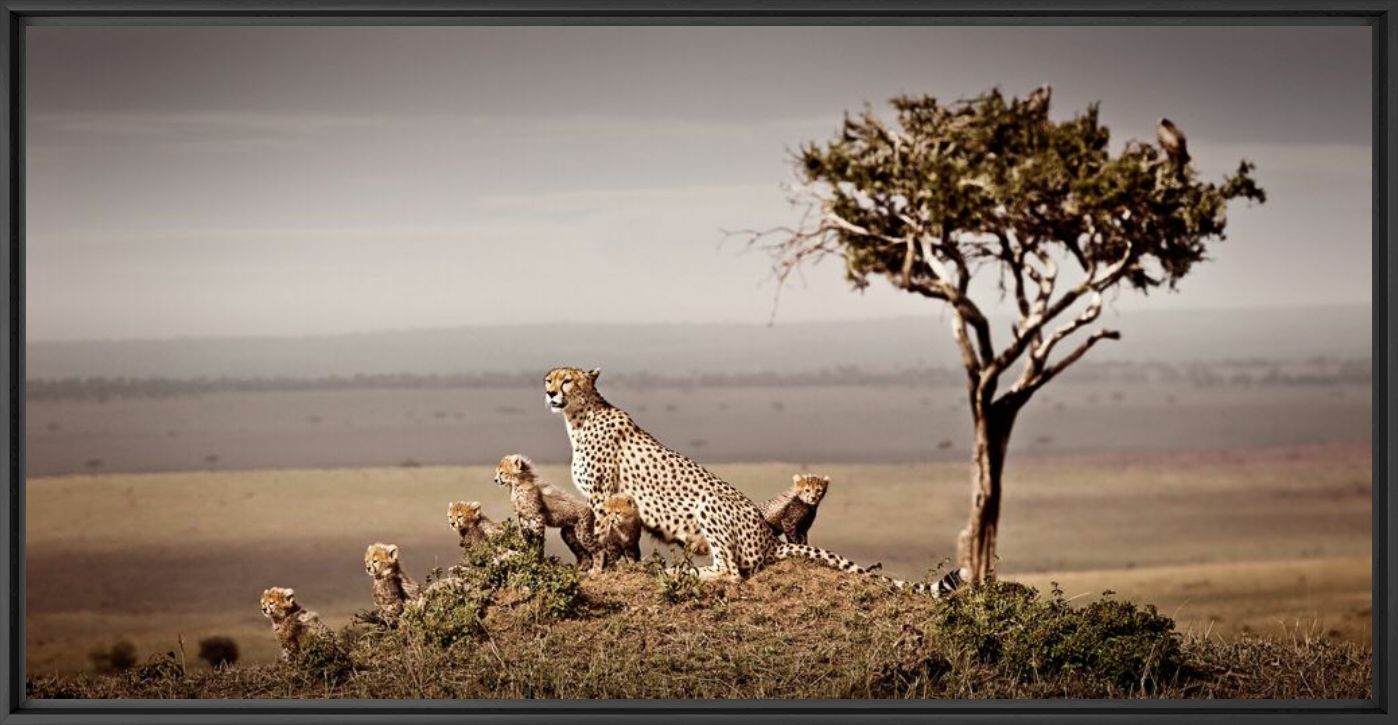 DYNASTY III - KLAUS TIEDGE - Photograph
