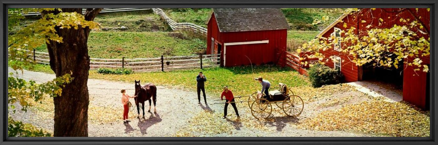 FARMYARD AND HORSE 1967 - KODAK COLORAMA DISPLAY COLLECTION - LEE HOWICK AND NEIL MONTANUS - Photographie