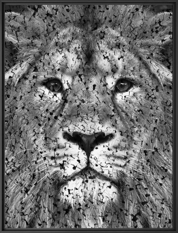 PUZZLE I -  L'OBSERVATOIRE - Photographie