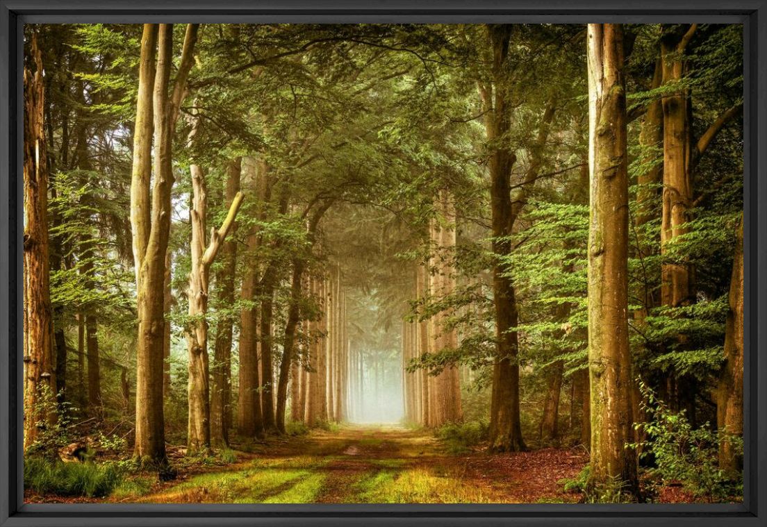 Embraced by Nature - LARS VAN DE GOOR - Photograph