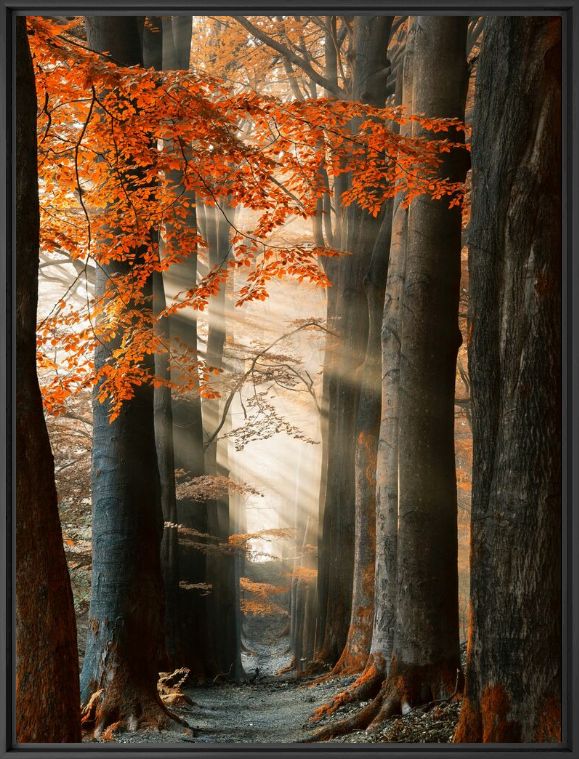 FOR YOUR EYES ONLY - LARS VAN DE GOOR - Photograph