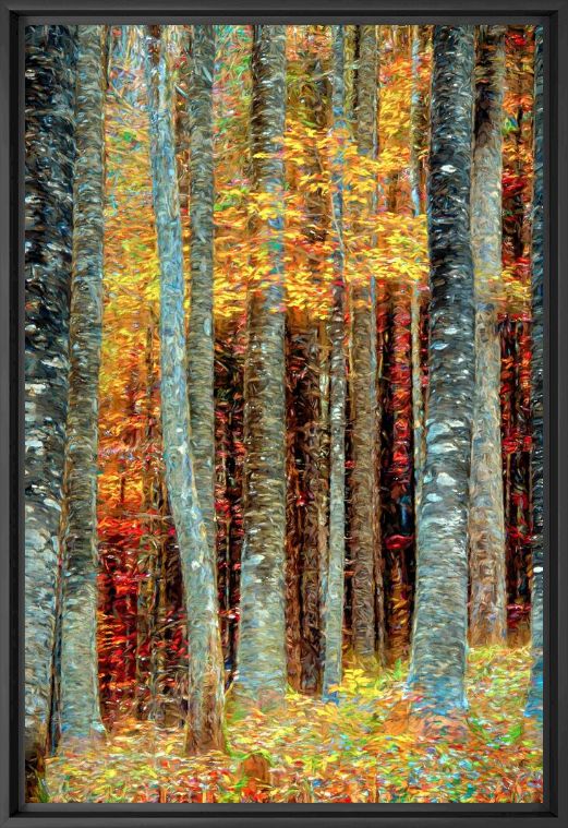 KlimtWald - LARS VAN DE GOOR - Photograph