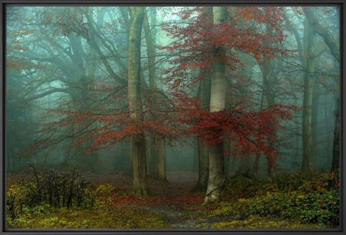 THE ENTRANCE - LARS VAN DE GOOR - Photograph