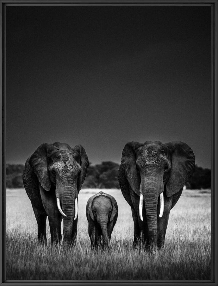 Body Guards - LAURENT BAHEUX - Fotograf&iacute;a