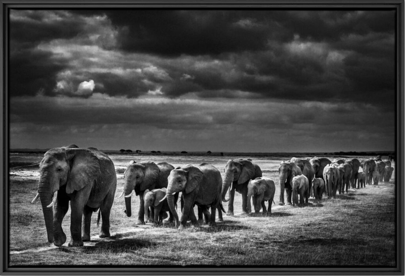 Crossing the Plain I - LAURENT BAHEUX - Photographie