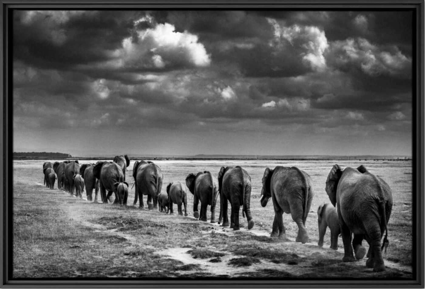 Crossing the Plain II - LAURENT BAHEUX - Photographie