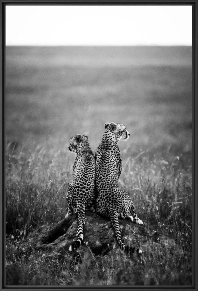 FOR LIFE - LAURENT BAHEUX - Fotografie