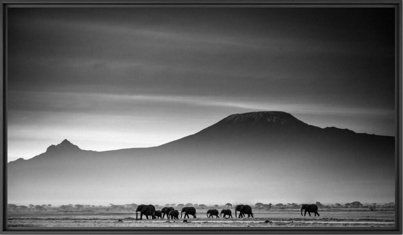 Giants in front of kilimanjaro I, Kenya 2015 - LAURENT BAHEUX - Fotografie