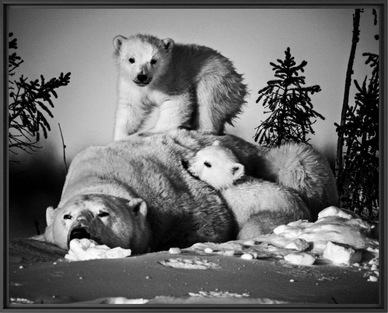 LA SIESTE IMPOSSIBLE - LAURENT BAHEUX - Photographie