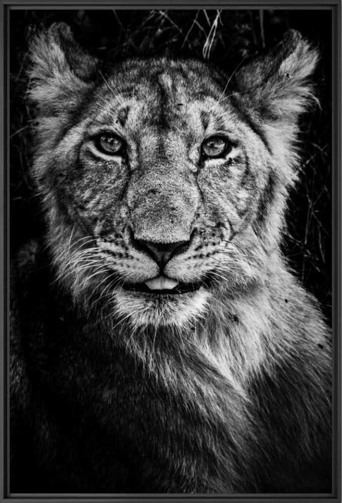 LE JEUNE IMPETUEUX - LAURENT BAHEUX - Fotograf&iacute;a