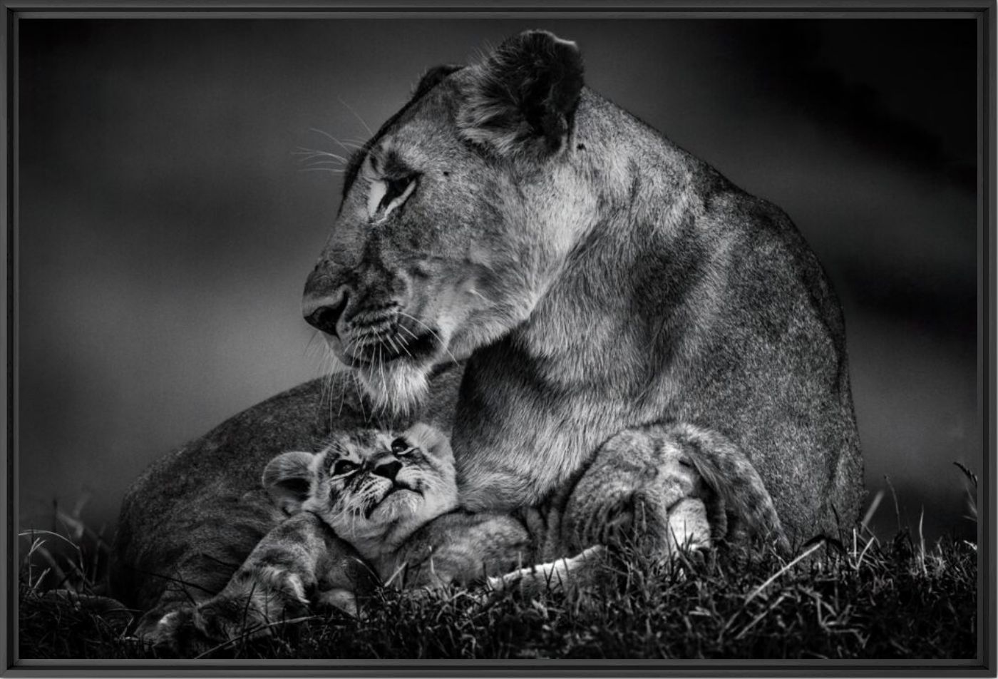 Les yeux de l&rsquo;amour - LAURENT BAHEUX - Fotografie