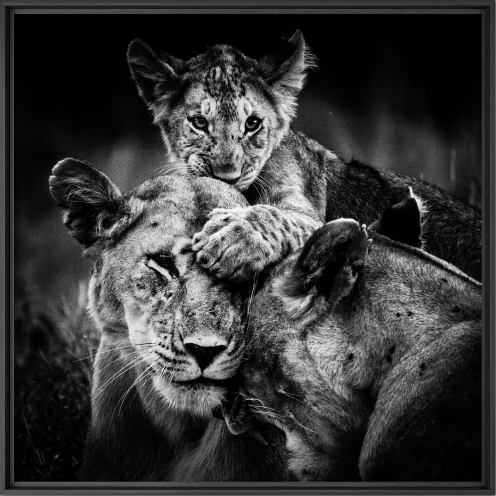 MORDU DAMOUR - LAURENT BAHEUX - Fotografie