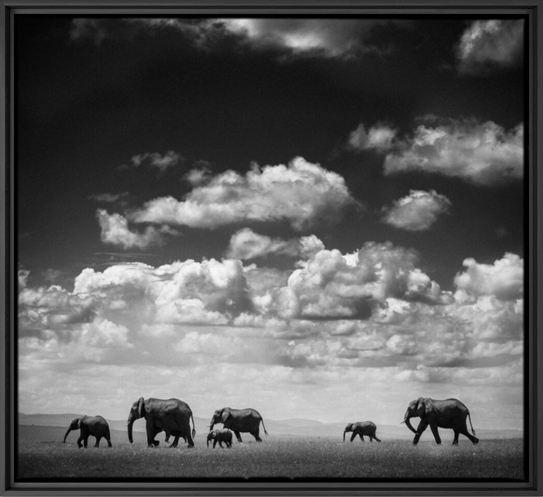 Under the Clouds I - LAURENT BAHEUX - Photographie