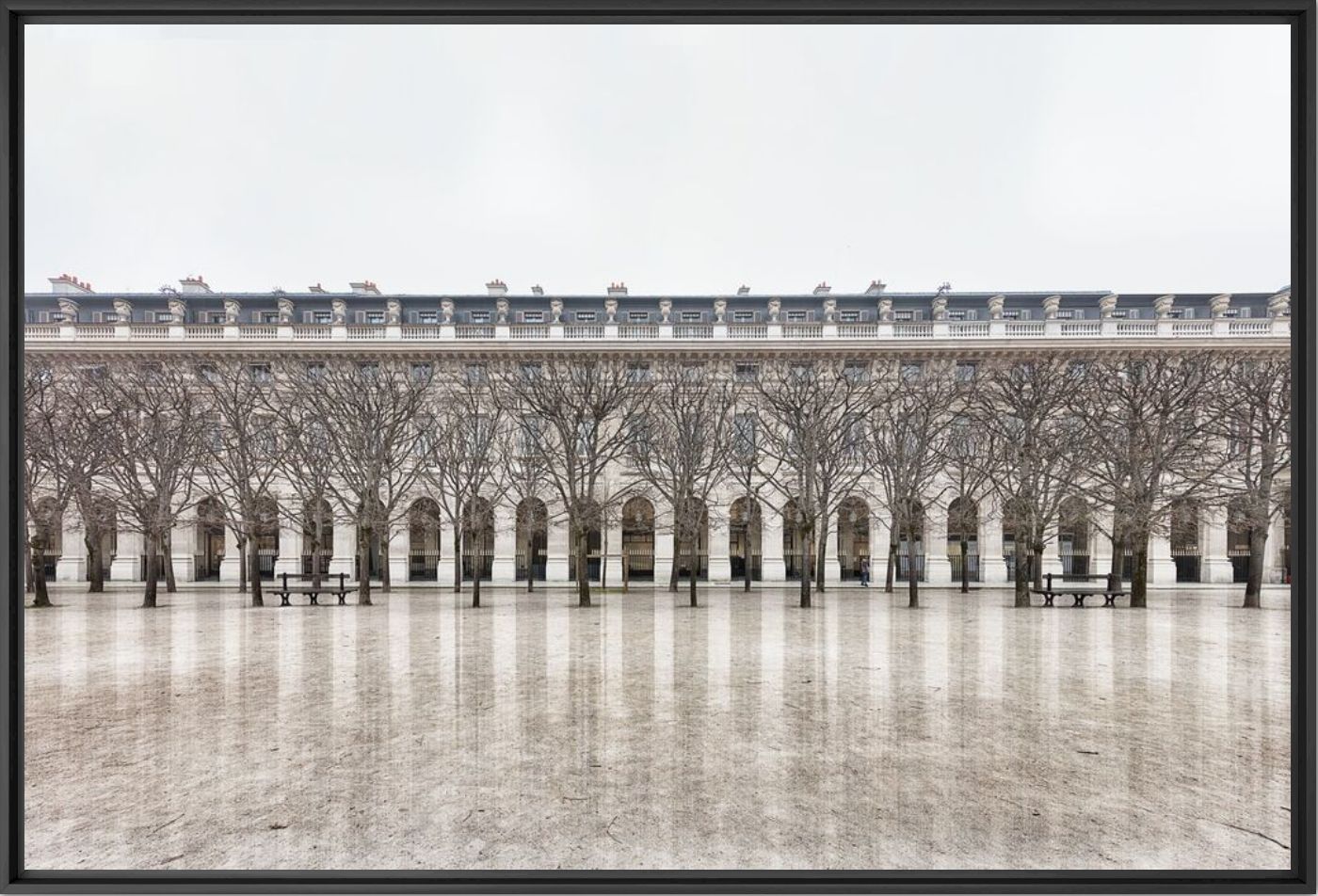 PALAIS ROYAL - LAURENT DEQUICK - Photographie