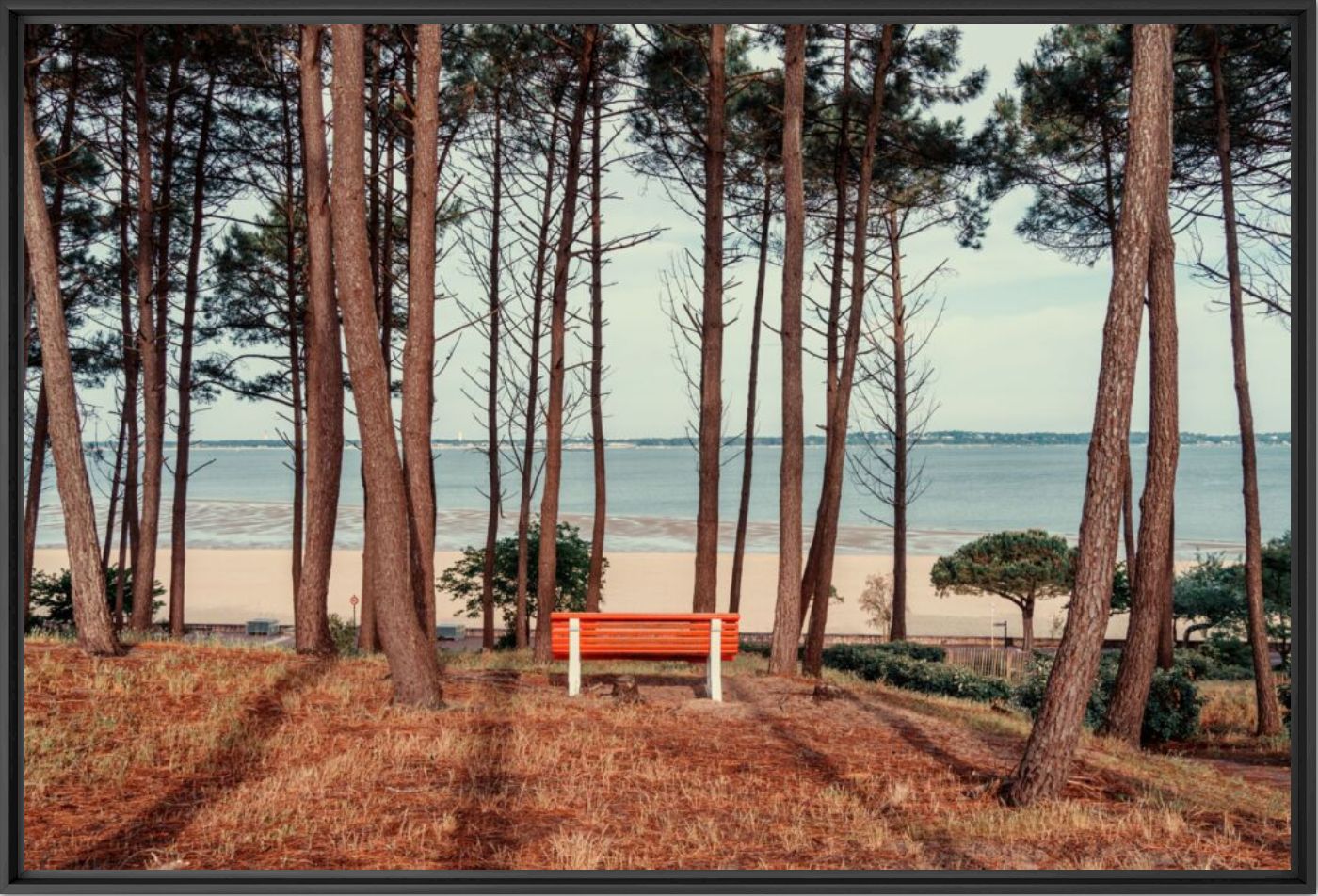 Arcachon cap en vue -  LDKPHOTO - Photograph
