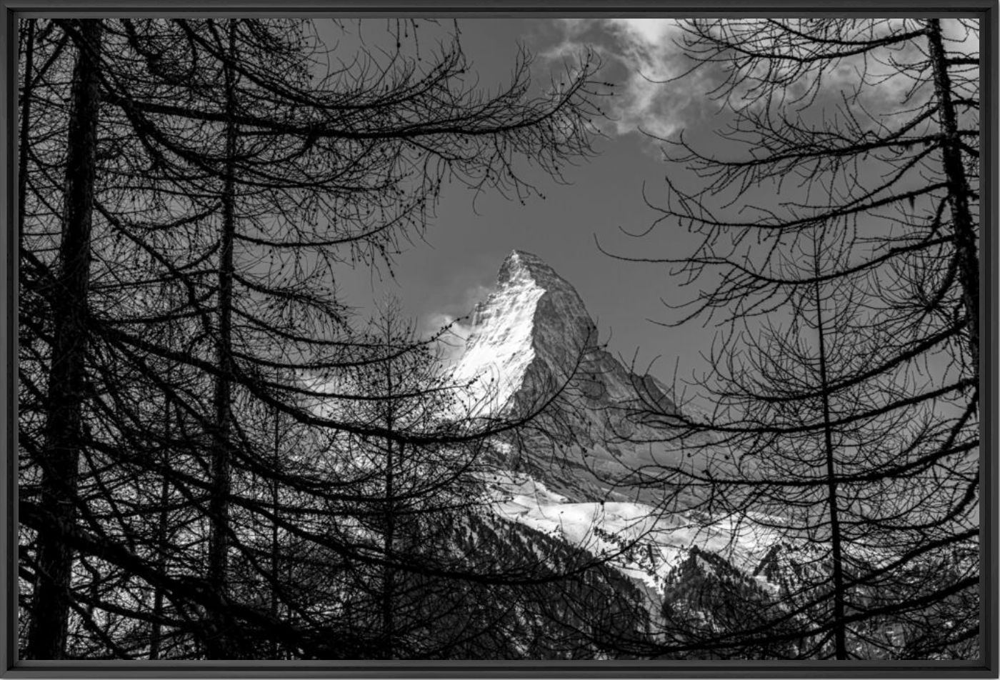Matterhorn between the trees -  LDKPHOTO - Fotografie