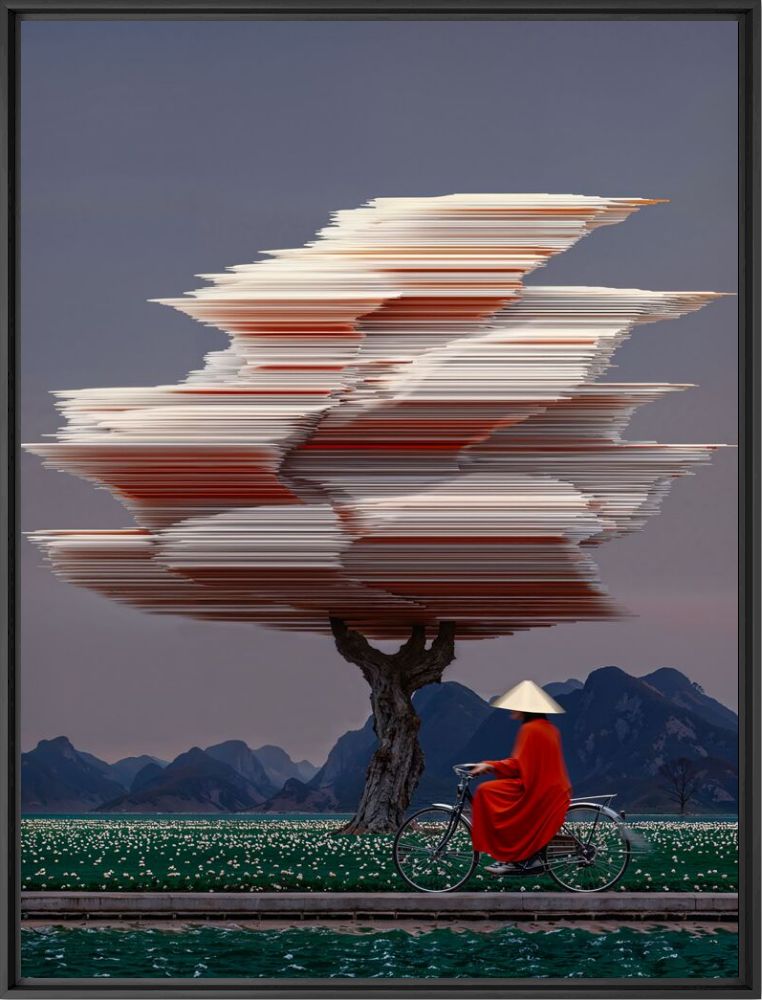 The weight of softness - Le Nam - Fotografia