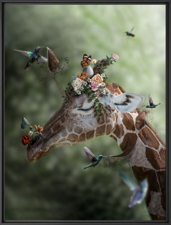 L'Imagination -  LES ANIMAUX IMAGINAIRES - Photographie