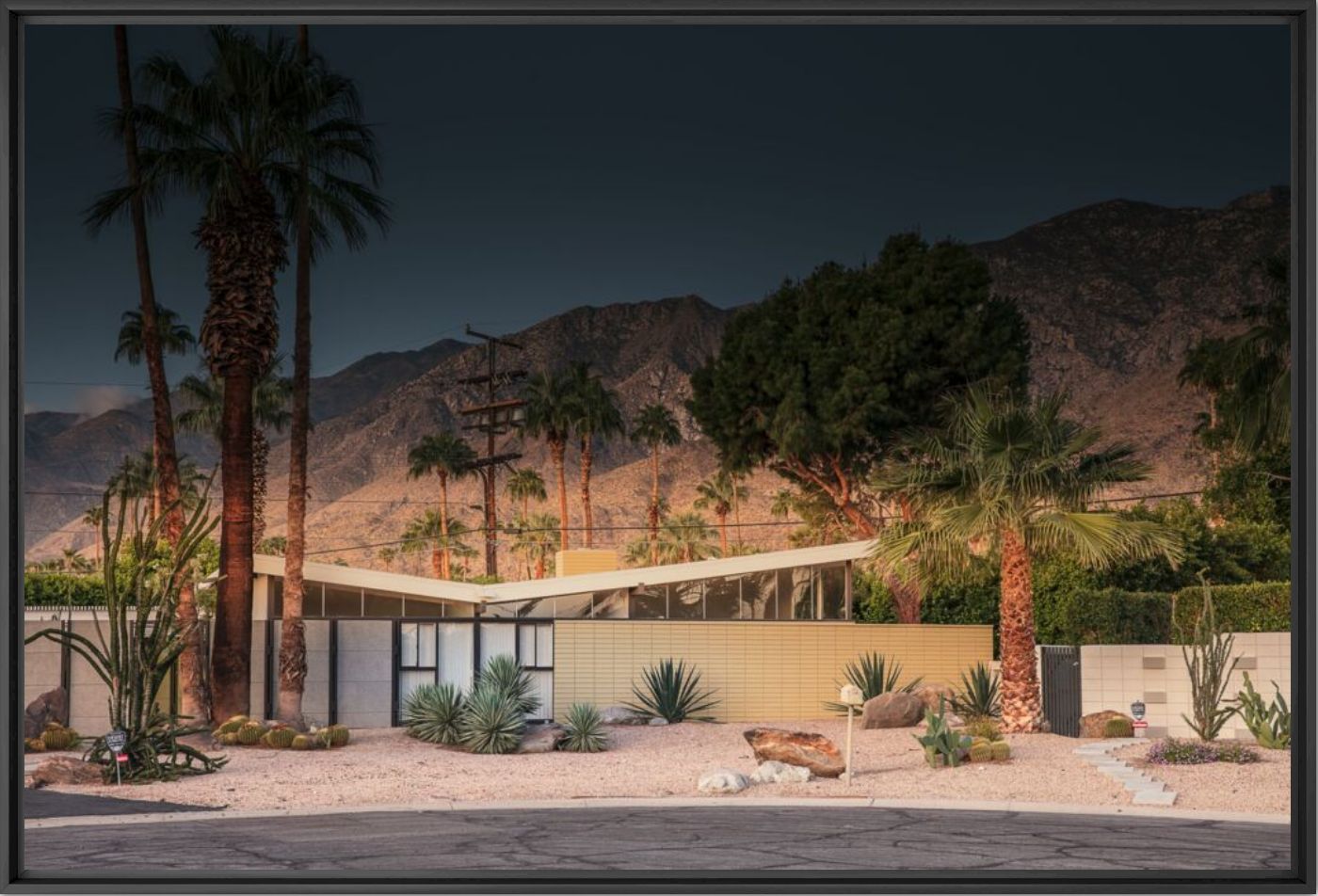 ICONIC PALM-SPRINGS - LUDWIG FAVRE - Photograph