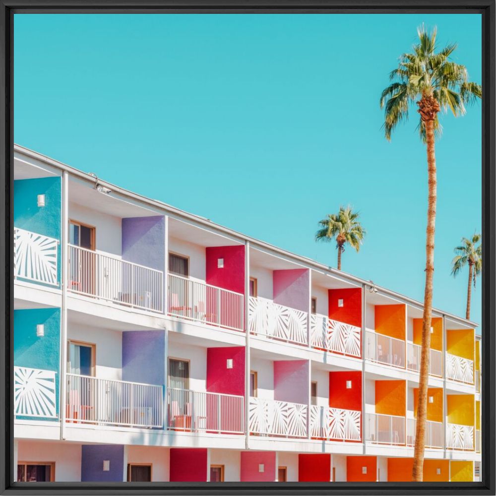 Outside Palm Springs Joie de Vivre - LUDWIG FAVRE - Photograph