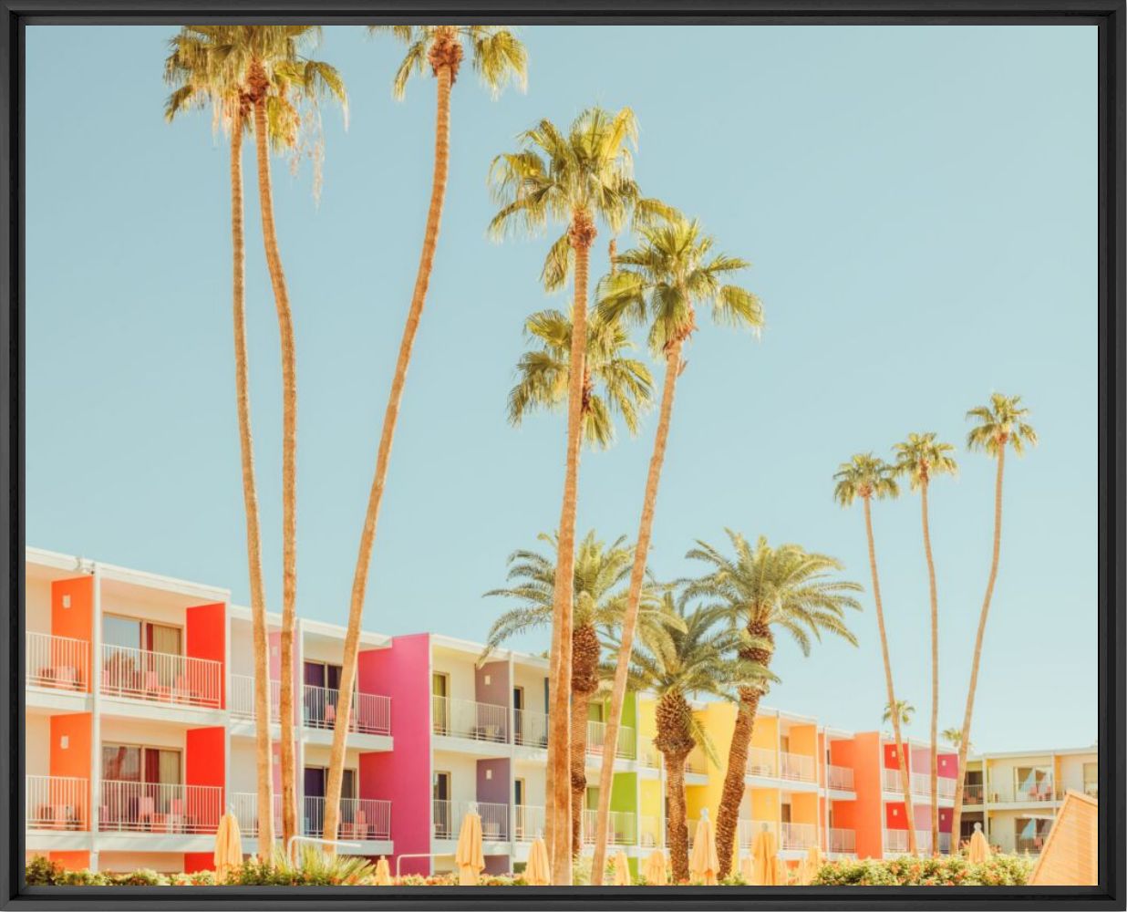 PALM SPRINGS ICONIC POOL - LUDWIG FAVRE - Photograph