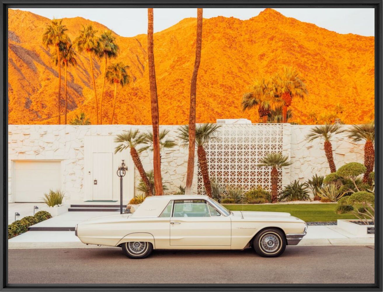 Palm Springs Thunderbird - LUDWIG FAVRE - Photograph