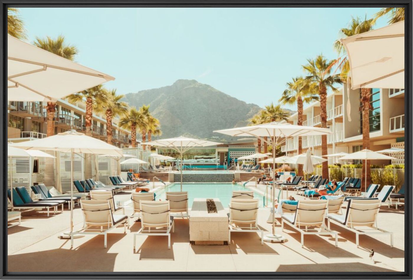 Phoenix Pool - LUDWIG FAVRE - Photograph