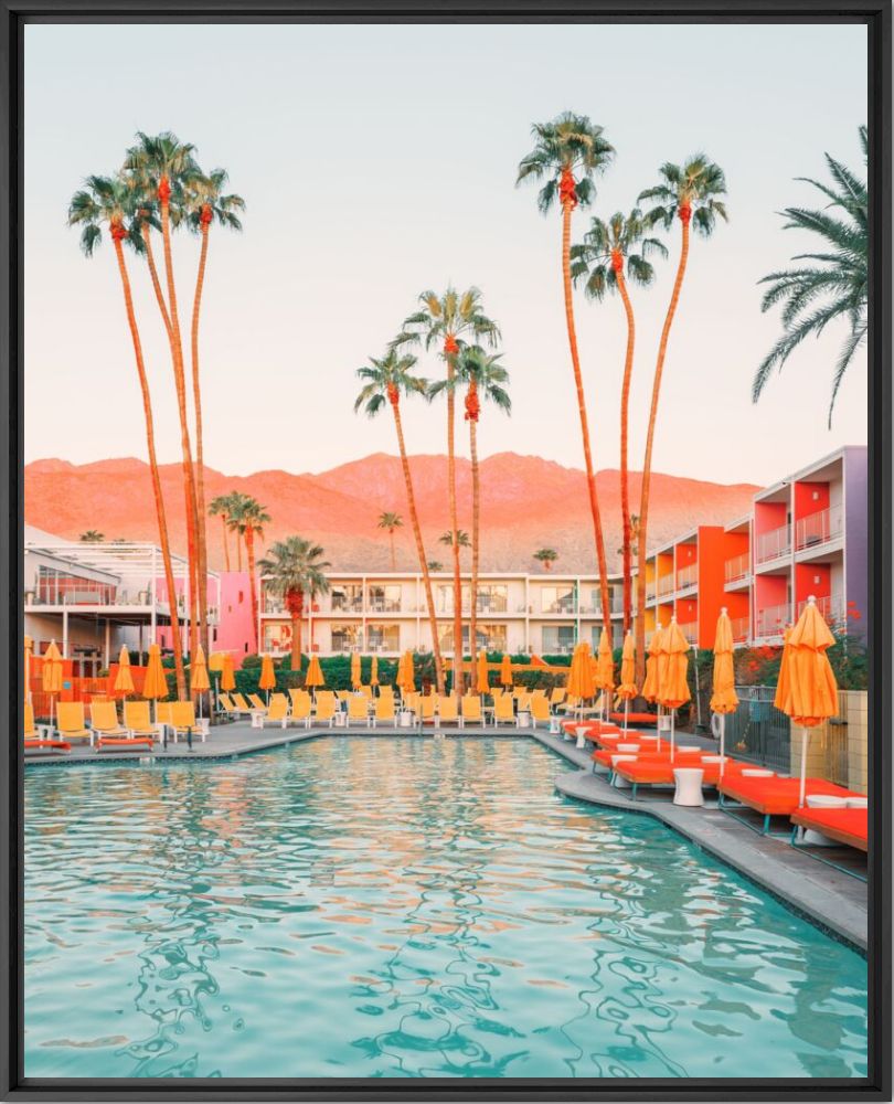 THE SAGUARO PALM SPRINGS II - LUDWIG FAVRE - Photograph