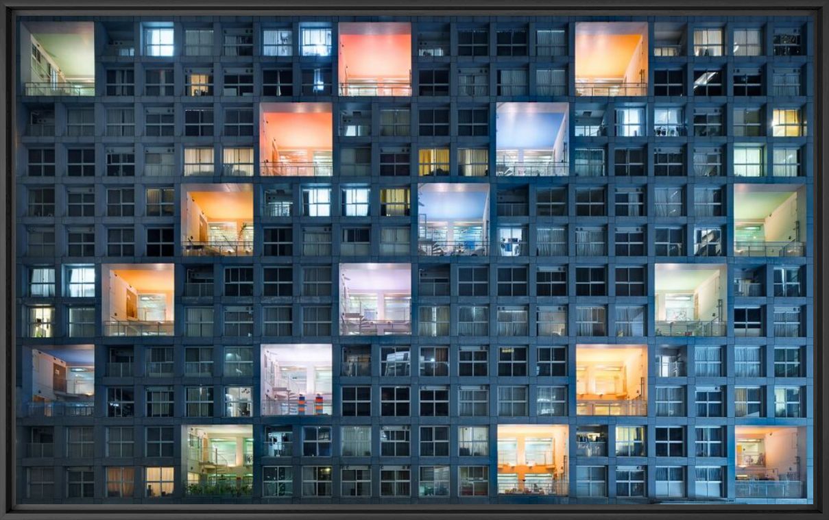 The colours of life - LUIS DOS SANTOS - Photographie
