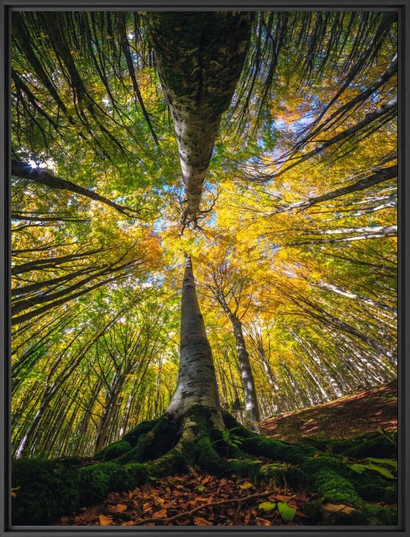 MOTHER NATURE - MANUELO BECECCO - Fotografie