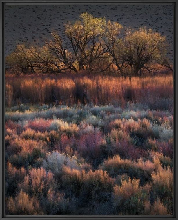 DANCING COLORS - MARC ADAMUS - Fotografia
