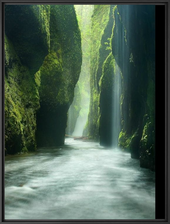 Rainforest Canyon Oneonta Gorge Oregon - MARC ADAMUS - Fotografie