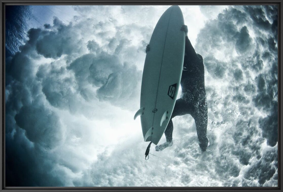 Fight - MARK TIPPLE - Photograph